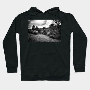 Landscape In Black And White Hoodie